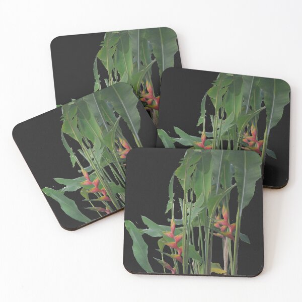 Item preview, Heliconia Flowers designed and sold by AmandaFineArt.