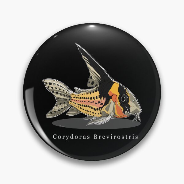 Item preview, Corydoras Brevirostris designed and sold by q10mark.