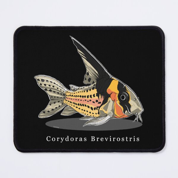 Item preview, Corydoras Brevirostris designed and sold by q10mark.