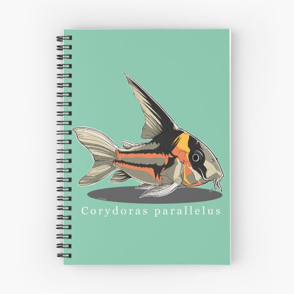 Item preview, Corydoras parallelus designed and sold by q10mark.