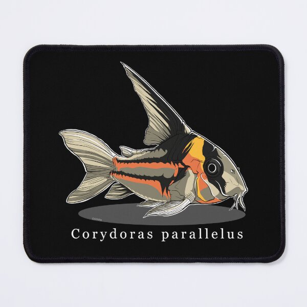 Item preview, Corydoras parallelus designed and sold by q10mark.