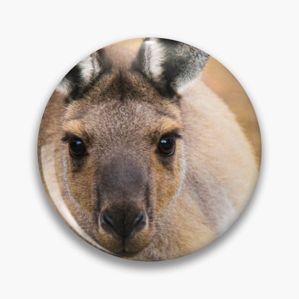 Item preview, Kangaroo designed and sold by Simon Stokes.