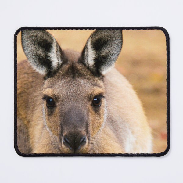 Item preview, Kangaroo designed and sold by Simon Stokes.