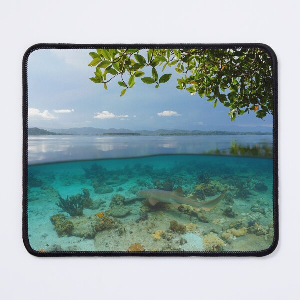 Item preview, Seascape over and under water surface Central America designed and sold by Seaphotoart.