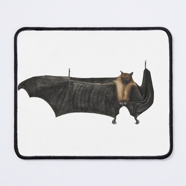 Item preview, Vintage bat Great Indian Fruit Bat (Pteropus giganteus) ca.1777-1782, Dark Academia, Cottagecore, Vintage Art Bat, Bat gift, Indian Flying Fox, designed and sold by RoyalRepublics.