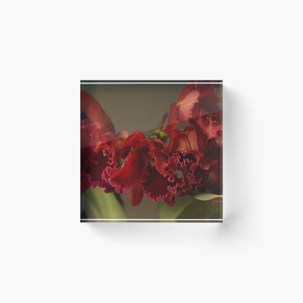 Item preview, Cattleya Queen Orchid designed and sold by Gilberte.