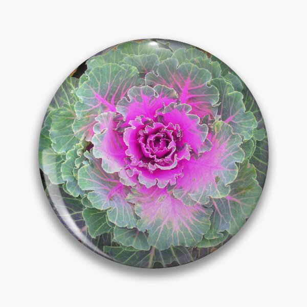 Item preview, One Pink And Green Cabbage designed and sold by Beatrice Roberts.