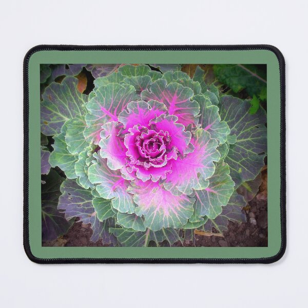 Item preview, One Pink And Green Cabbage designed and sold by Beatrice Roberts.