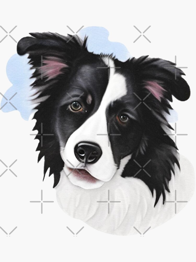 &ldquo;Border Collie Portrait for Dog Lovers&rdquo; Sticker for Sale by