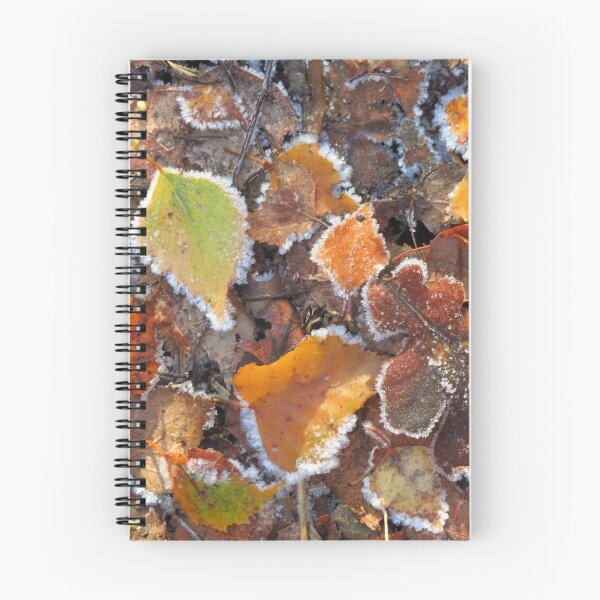 Item preview, Frosted Silver Birch Leaves designed and sold by wiggyofipswich.