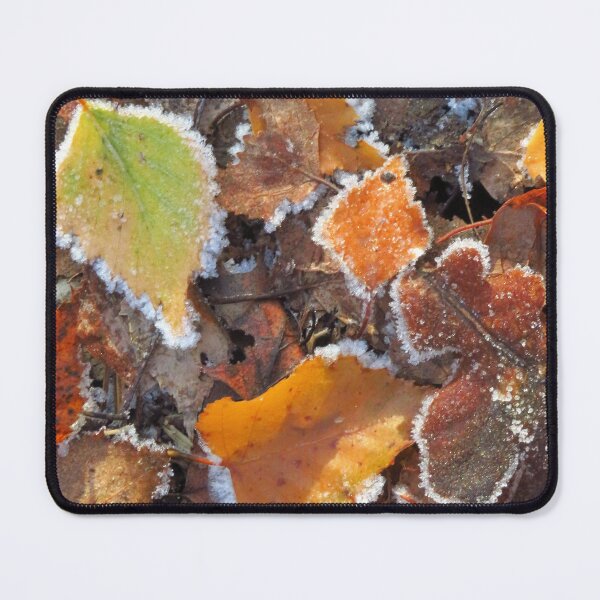 Item preview, Frosted Silver Birch Leaves designed and sold by wiggyofipswich.