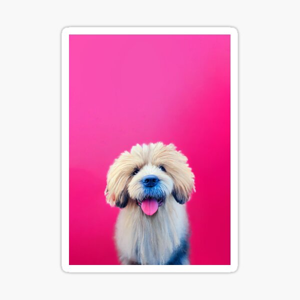 "Watercolor portrait of Pulik dog" Sticker for Sale by AppleElf | Redbubble