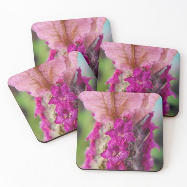 Item preview, Lavender  designed and sold by MumDi.