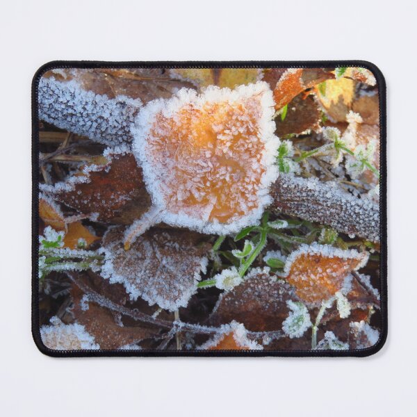 Item preview, Frosted Silver Birch Leaf designed and sold by wiggyofipswich.