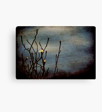 Entangled Canvas Print