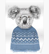 Winter Koala Poster