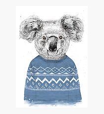 Winter koala Photographic Print