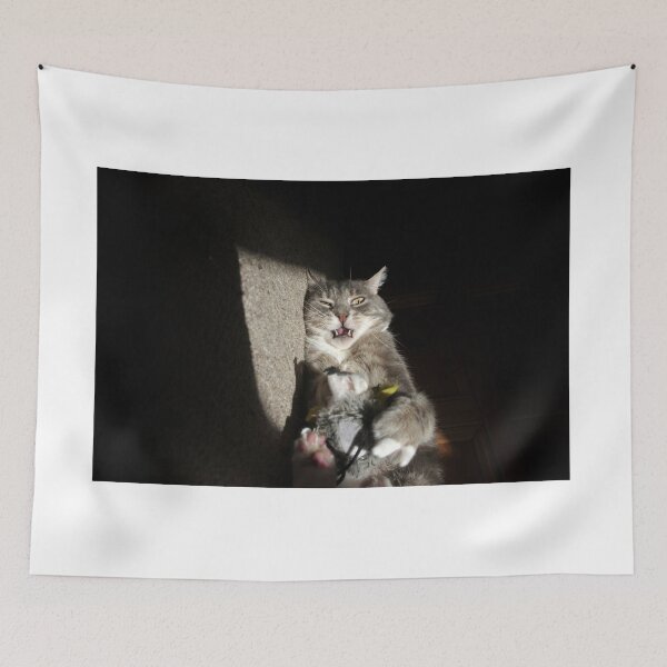 Item preview, Surprised cat designed and sold by turniptowers.