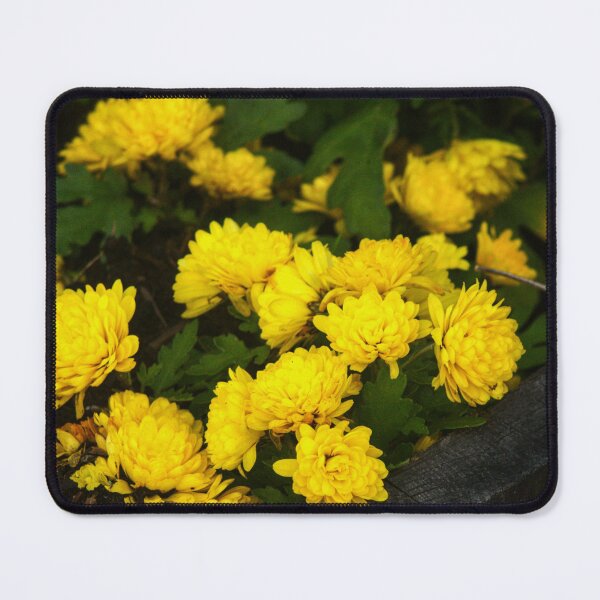Item preview, yellow flowers designed and sold by Francespoppy.