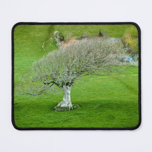 Item preview, Bleached Beauty designed and sold by Viv Thompson Photography .