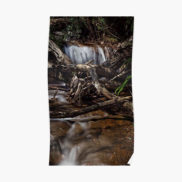 "Murrindindi Cascades Waterfalls Australia Victoria" Poster for Sale