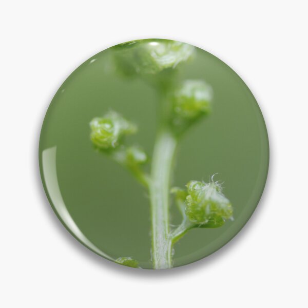 Item preview, Unfurling designed and sold by Hippo.