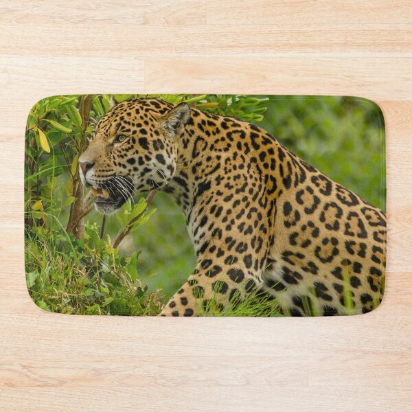 Item preview, Vantage Point  designed and sold by Darren Wilkes.