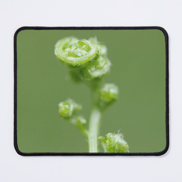Item preview, Unfurling designed and sold by Hippo.