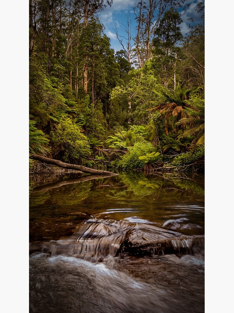 "Waterfalls Morwell River Falls Reserve, Australia, Victoria" Poster