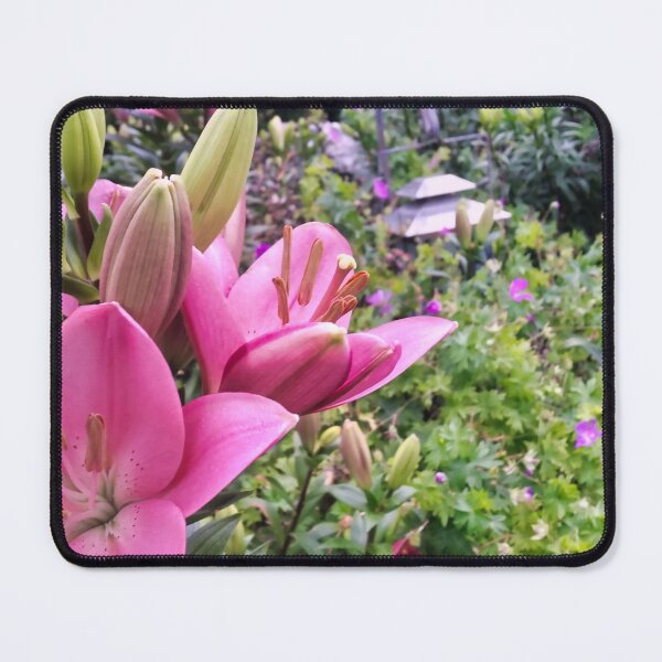 Item preview, Belladonna Garden designed and sold by OnigiriSuiko.