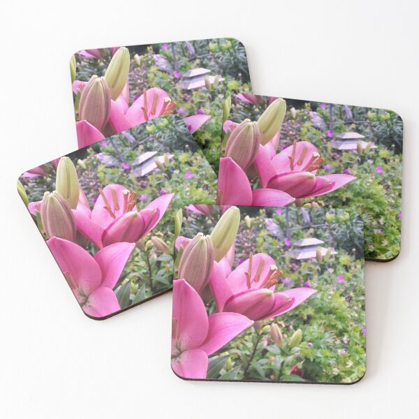 Item preview, Belladonna Garden designed and sold by OnigiriSuiko.