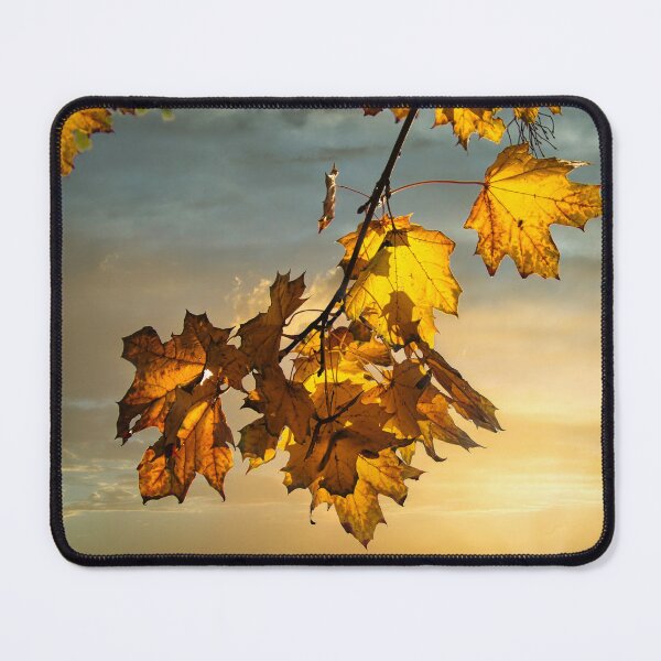 Item preview, Autumn leaf veins in the evening designed and sold by Chikokie.