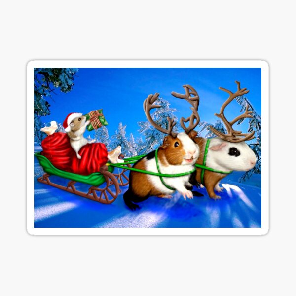 Santa Hamster and his Guinea Reindeer! Sticker