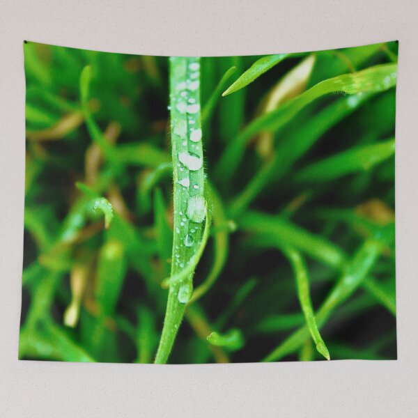 Item preview, Drops of water with a blade of grass designed and sold by Chikokie.