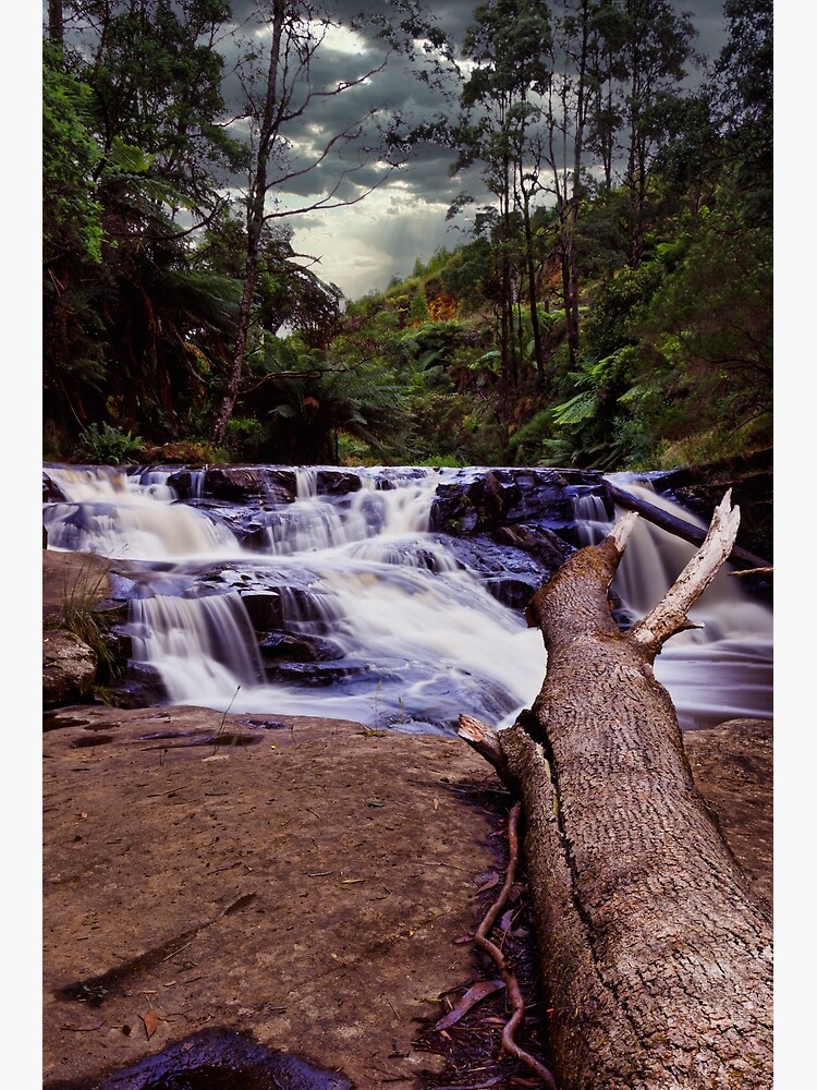 "Waterfalls Morwell River Falls Reserve, Australia, Victoria" Poster