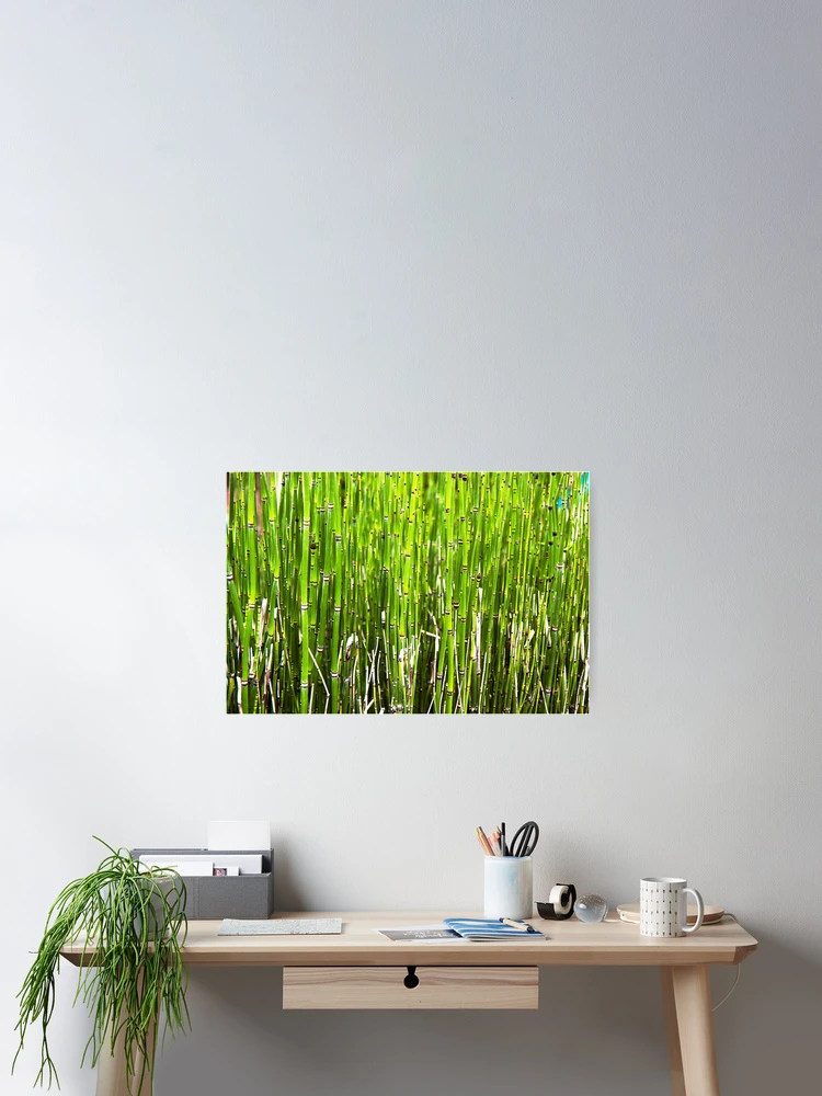 Imagen 2 de 3, Póster con la obra Reeds, diseñada y vendida por The Studio Red.