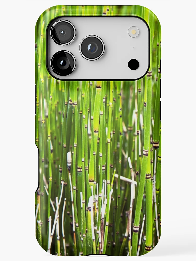 Thumbnail 1 of 4, iPhone Case, Reeds designed and sold by The Studio Red.