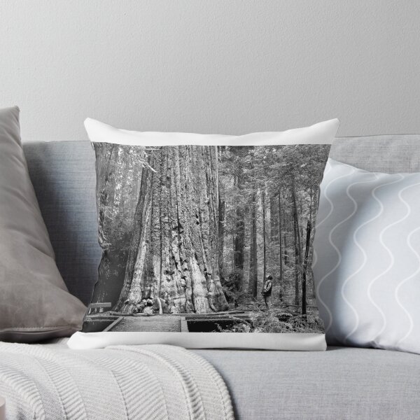 Item preview, Redwood designed and sold by The Studio Red.