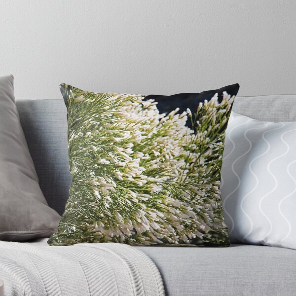 Item preview, Summer designed and sold by The Studio Red.