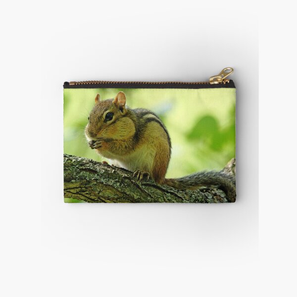 Item preview, Chipmunk Cheeks designed and sold by Debbie Oppermann.