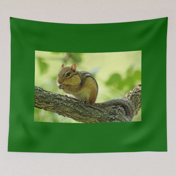 Item preview, Chipmunk Cheeks designed and sold by Debbie Oppermann.