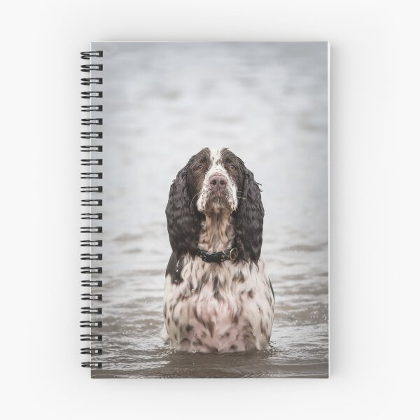 Item preview, Sea dog designed and sold by Penel.