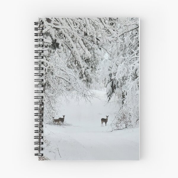 Item preview, The Road Home, December 18, 2022 designed and sold by Debbie Center.