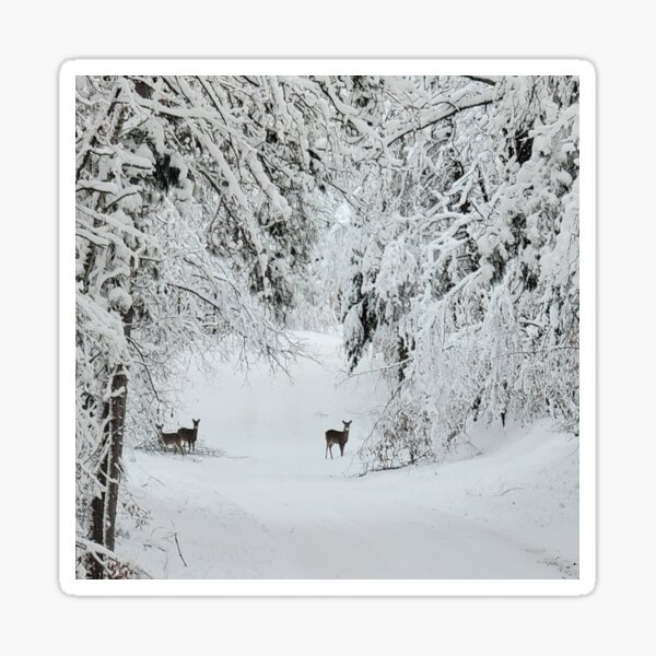 The Road Home, December 18, 2022 Sticker