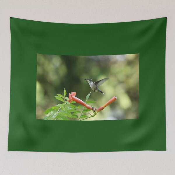 Item preview, Hovering Hummingbird  designed and sold by Debbie Oppermann.
