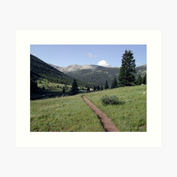 Colorado Trail Art Print