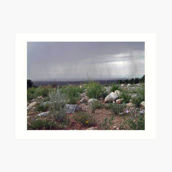 Storm in the Great Basin Desert Art Print