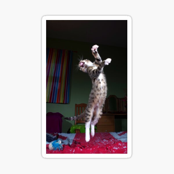 Dancing kitten Sticker
