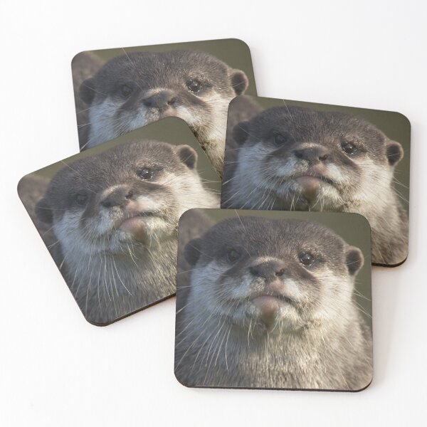 Item preview, Otter Looking At You designed and sold by rawshutterbug.