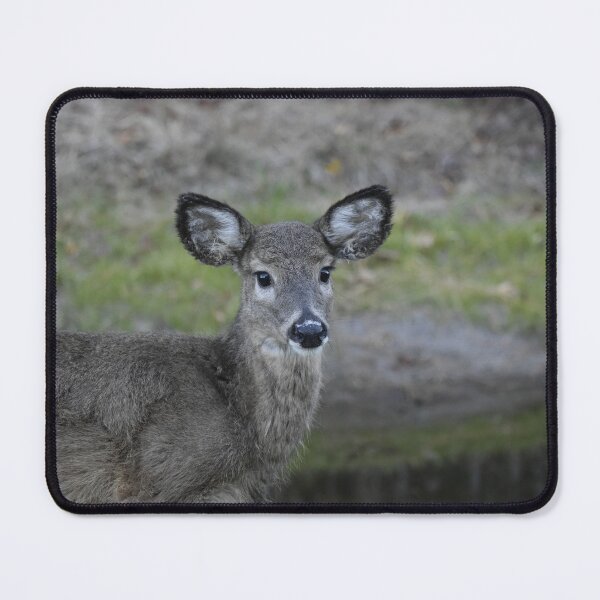 Item preview, Winter Coat  designed and sold by Tonia Delozier's Photography .